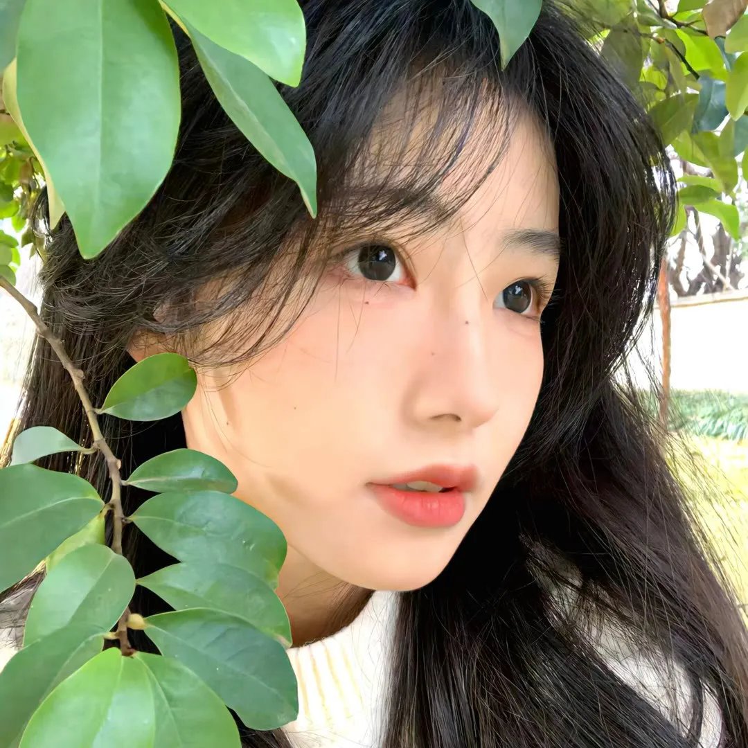 盲舂舂风暴